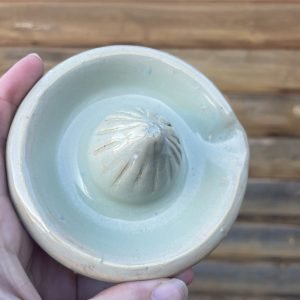 Creamy Celadon Juicer